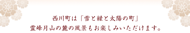 周辺観光案内見出し