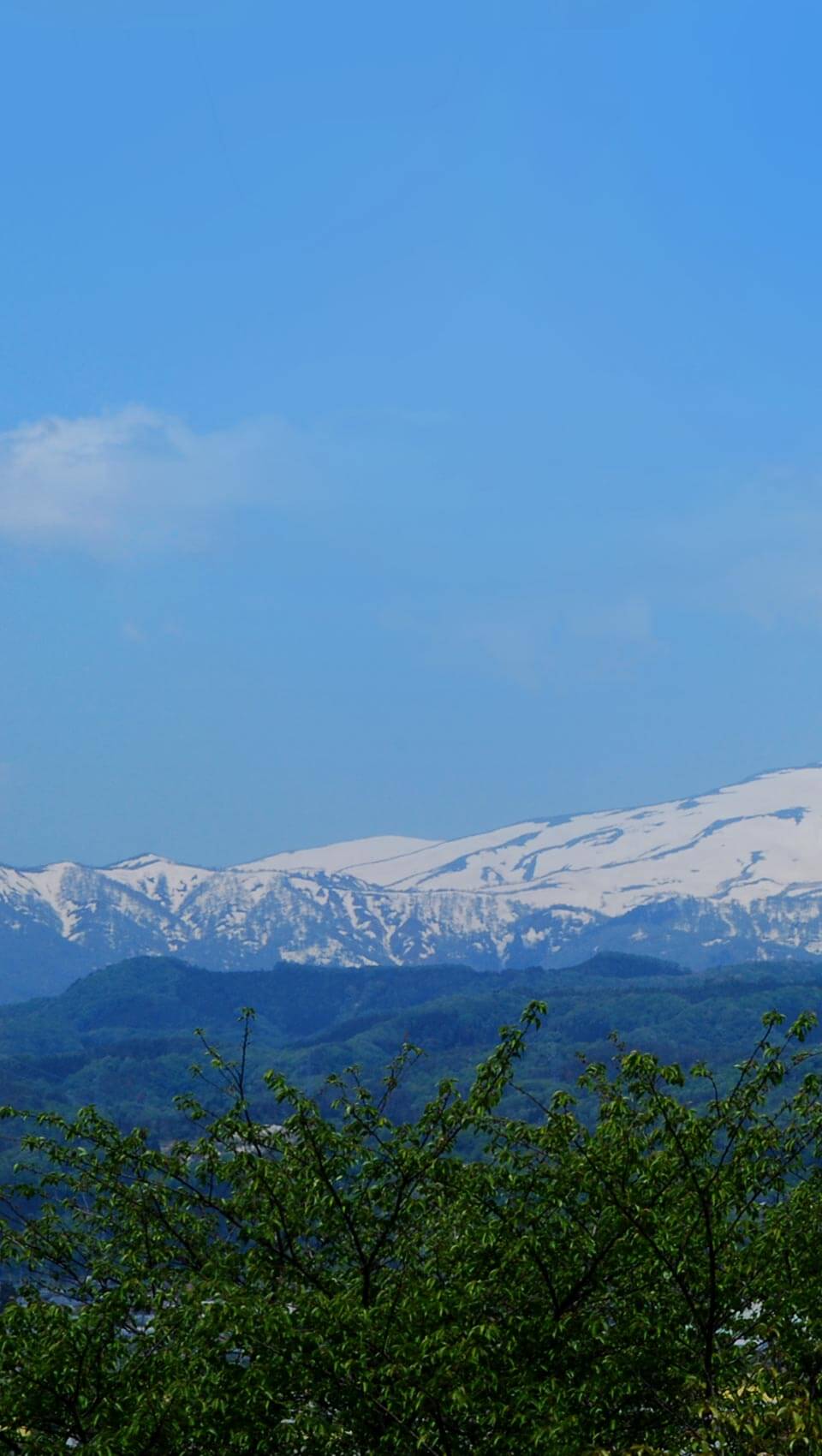 大自然の景観美しい月山その麓に息づく酒蔵