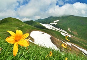 月山登山+夏スキー